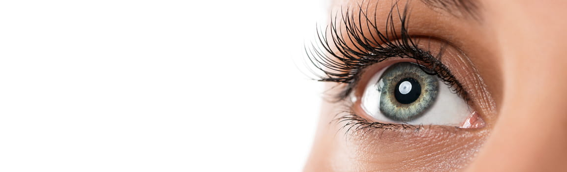 Rehaussement cils, teintures des cils et teintures des sourcils Rehaussement cils, teintures des cils et teintures des sourcils - Institut de beauté à Lattes